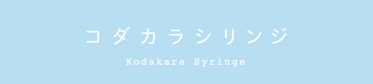 コダカラゼリー